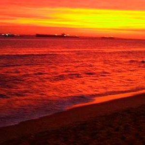 Foto de perfil de Igor