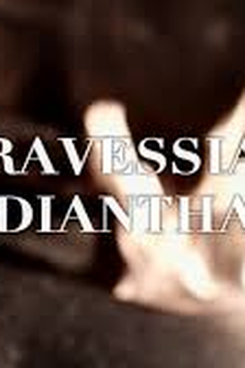Poster de Filme A travessia de Diantha (2009)