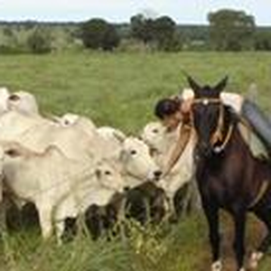 Foto de perfil de Naiara