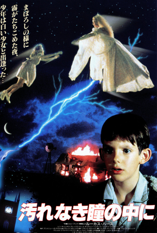 Poster 6 de Filme A Dama de Branco (1988)