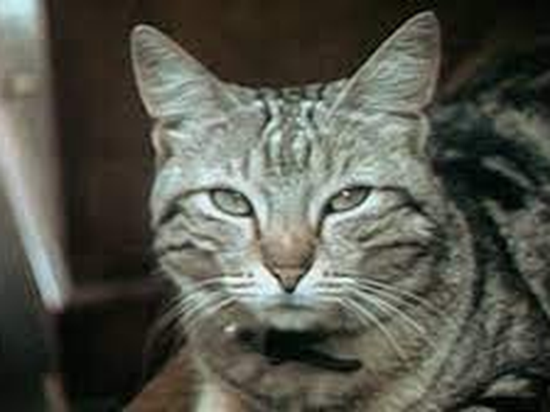 Foto 1 de Brief von Paris