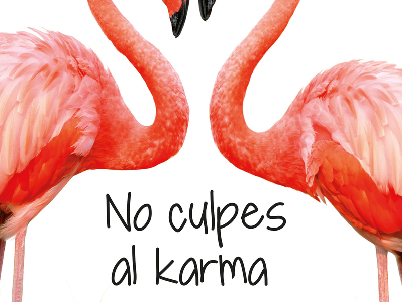 Foto 1 de A Culpa Não é do Carma