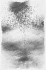 O Nascimento de Helena (O Nascimento de Helena)