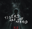 Os Tigres Não Têm Medo