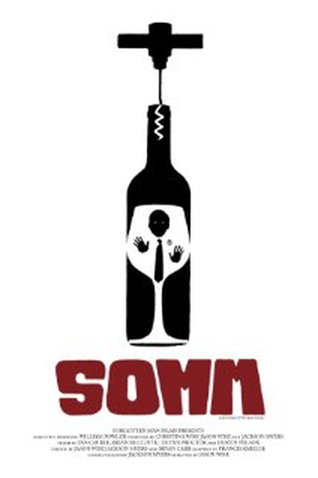 Poster de Filme Somm (2012)