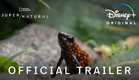 Super/Natural | Official Trailer | Disney+