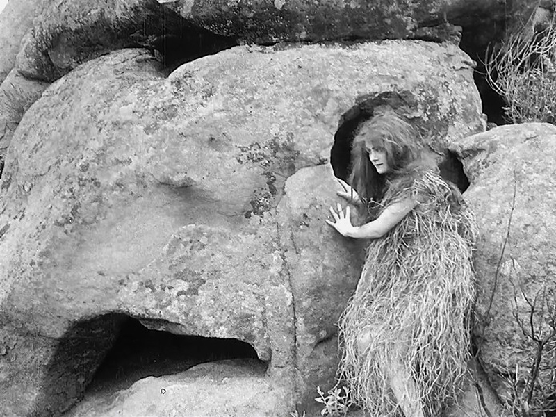 Foto 6 de Man's Genesis