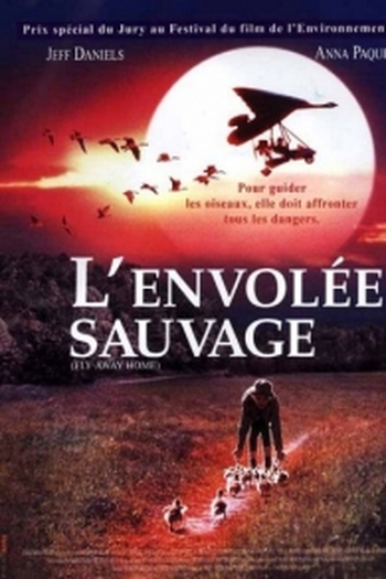  de Filme Voando para Casa (1996)