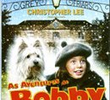 As Aventuras de Bobby