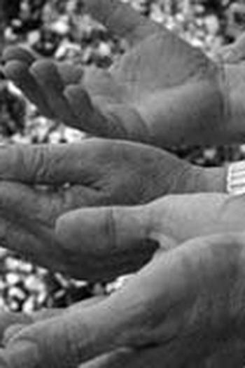  de Curta Mãos de Outubro (2010)