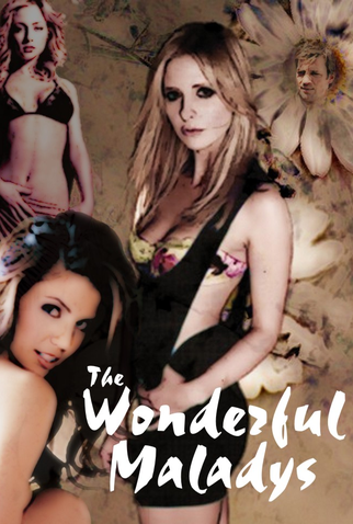 Poster 1 de Filme The Wonderful Maladys (2010)