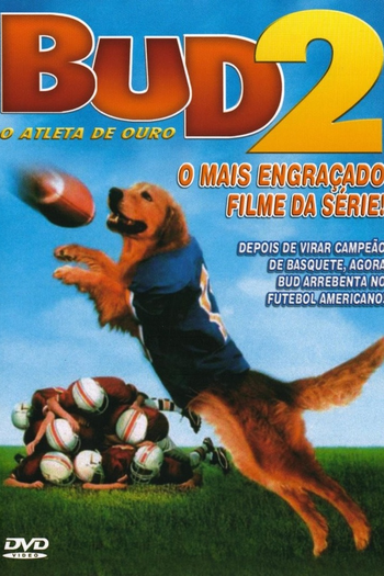 Poster de Filme Bud 2 - O Atleta de Ouro (1998)
