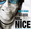 Mr. Nice