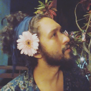 Foto de perfil de Galo