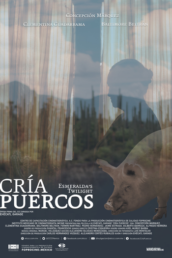  de Filme Cría puercos (2018)