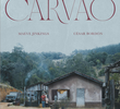 Carvão