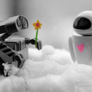 Foto de perfil de Geysebell Senhorini