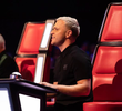 Blind Auditions 2