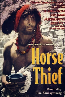 O Ladrão de Cavalos - Poster / Capa / Cartaz - Oficial 3