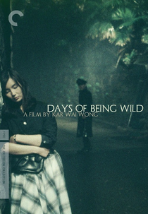 Dias Selvagens (Ah Fei Jing Juen)