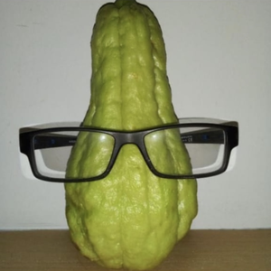 Foto de perfil de Guilherme