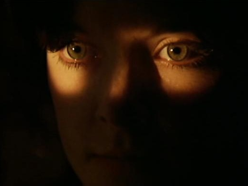 Foto 19 de A Casa da Noite Eterna