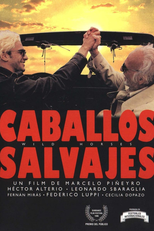 Cavalos Selvagens (Caballos Salvajes)