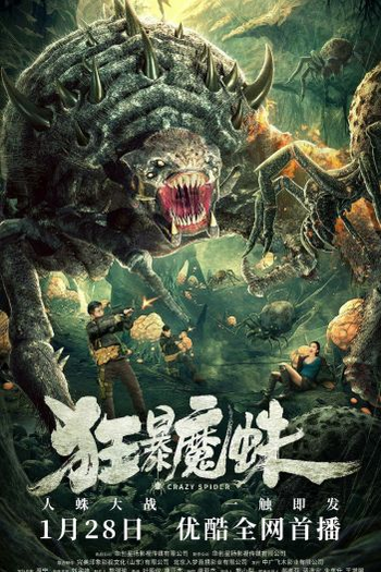 Poster de Filme Crazy Spider (2021)