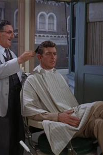 Poster de Episódio Opie's Job (1965)