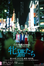 Crepúsculo das Felinas (「牝猫たち」Mesunekotachi)