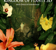 O Reino das Plantas