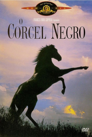 Poster 2 de Filme O Corcel Negro (1979)
