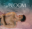 a BLOOM
