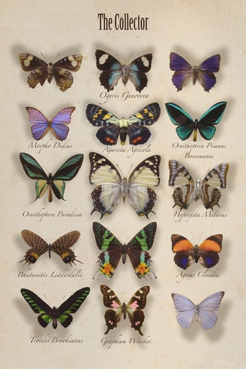  de Filme O Colecionador (1965)