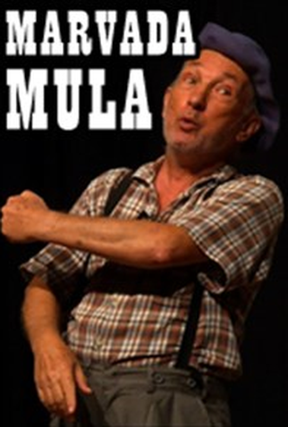 Poster 1 de Filme Marvada Mula (2010)