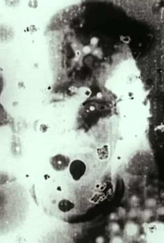 Poster 1 de Curta N°5 (1998)