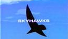 skyhawks-intro