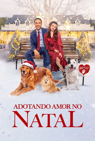 Poster 3 de Filme Adotando Amor no Natal (2021)
