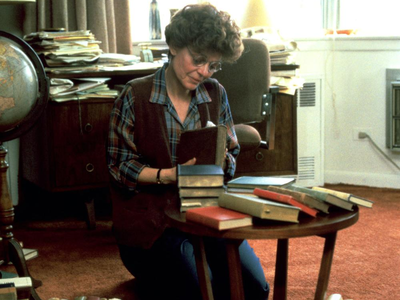 Foto 1 de Nunca Te Vi, Sempre Te Amei