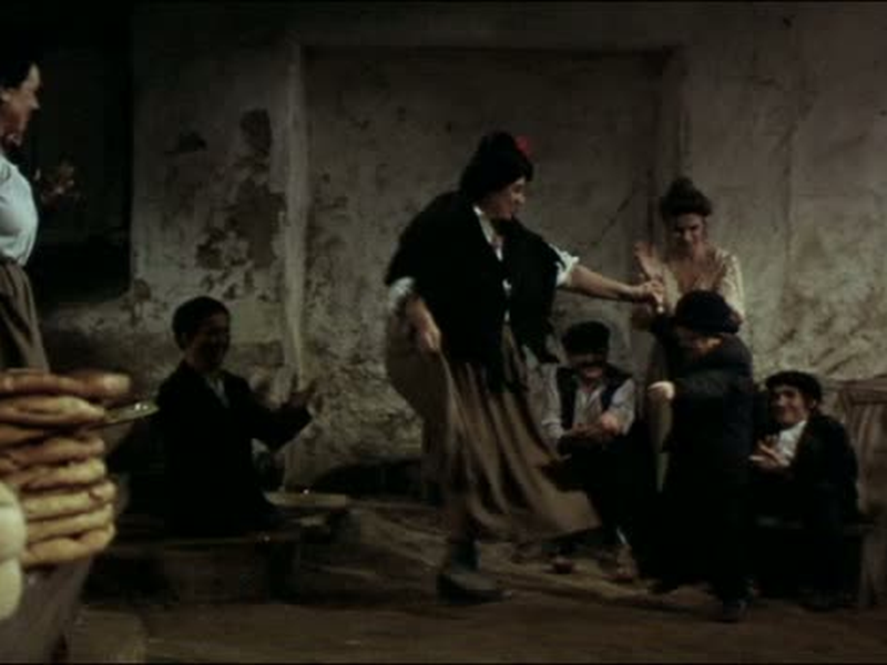 Foto 7 de El bosque del lobo