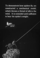 Urban Science: To Demonstrate How Spiders Fly (Urban Science: To Demonstrate How Spiders Fly)