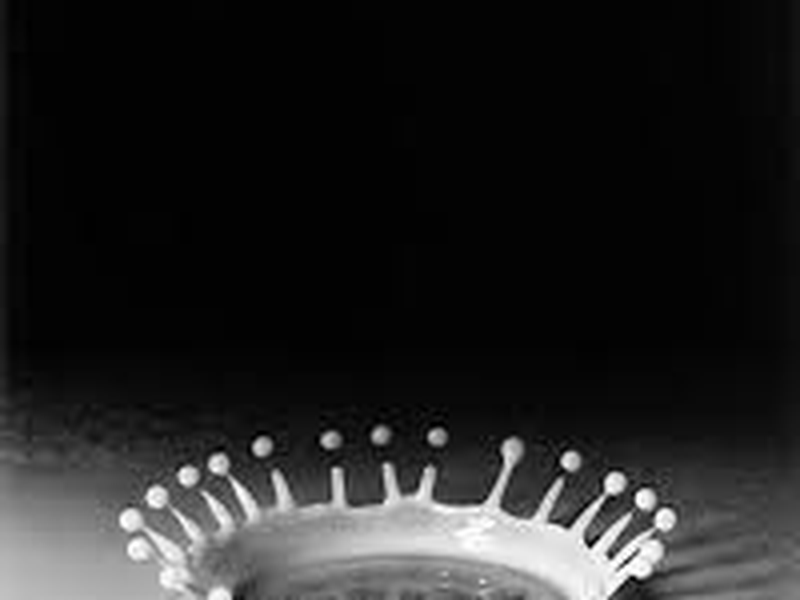 Foto 2 de Quicker'n a Wink