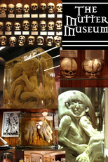 The Mutter Museum (The Mutter Museum)
