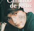 No Caminho de Jesus