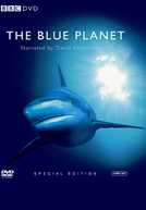 Planeta Azul (The Blue Planet)