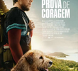 Uma Prova de Coragem