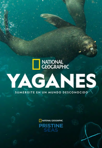 Yaganes: O Tesouro Perdido da Patagônia (Yaganes)