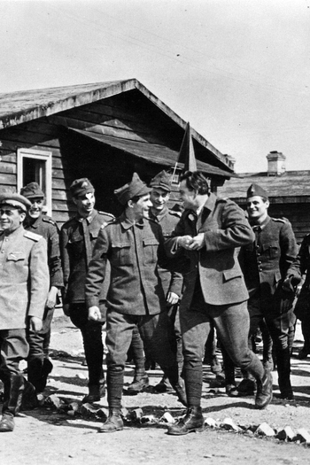  de Filme Mitrea Cocor (1952)