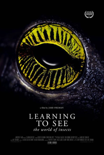 Learning to See: The World of Insects - Poster / Capa / Cartaz - Oficial 1