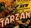 As Novas Aventuras de Tarzan